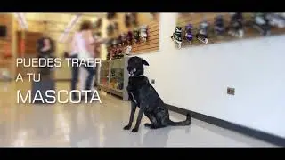 Centro Roller Ciudad de M&eacute;xico