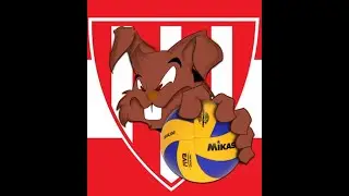 CAMPEONATO CARIOCA ADULTO  FEMININO   - TIJUCA x Sesc/ Flamengo