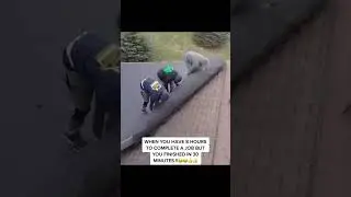 Fastest Roofers Alive ✅ #funny #dfw #viralreels #dallas #meme #tiktokvideos #dallasroofing