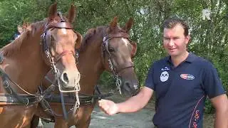 'Team De Ronde' is klaar voor het EK Vierspan