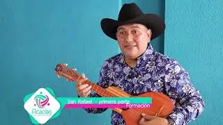 TUTORIAL DE BANDOLA LLANERA NIVEL FORMACION TEMA  SAN RAFAEL   PRIMERA PARTE TONO Dm.