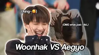woonhak vs aegyo