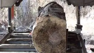 Sawmill Time Lapse