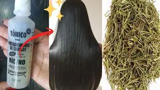 SEU CABELO VAI CRESCER mais r&aacute;pido [COM ESSE T&Ocirc;NICO CASEIRO COM ALECRIM  apenas 3 ingredientes!