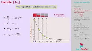 Nuclei Class 12 Physics - Half life and Mean life