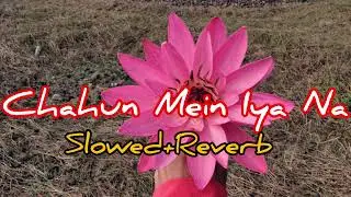 Chahun Main Ya Naa - | Slowed + Reverb | Full Song | Aashiqui 2 | #aashiqui2 #song 