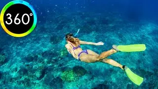 360&deg; VR Orange Bay Snorkeling Red Sea Hurghada Trip Egypt Holiday 6K 3D Virtual Travel Reality HD 4K