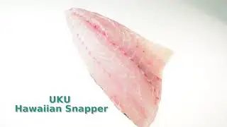 Honolulu Fish Company - Uku Snapper | Hawaiian Snapper