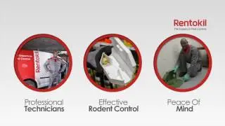 Rentokil Rodent Control