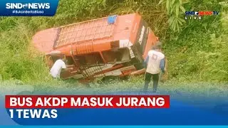 Sopir Hilang Kendali, Bus AKDP Masuk Jurang - Sindo Today 01/06