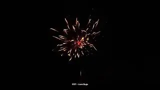 #9127   LIGHTNING BUGS & JUNE BUGS (16 SHOTS)