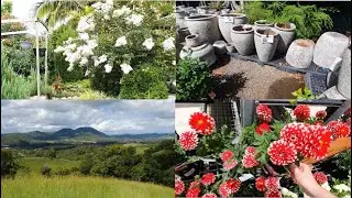 A Perfect Countryside Morning: Garden Centres, Hydrangeas & Cosy Home Finds! #countrylife #garden