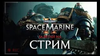 КАЧАЮСЬ, PVE, PVP Ω Warhammer 40,000: Space Marine 2