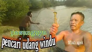 menjala udang di sungai kawasan wana wisata pantai sowan