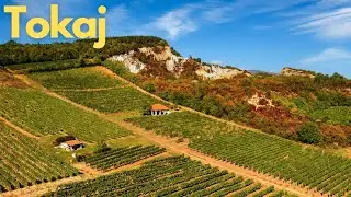 Discovering Tokaj: Hungary's Wine Paradise 🍇
