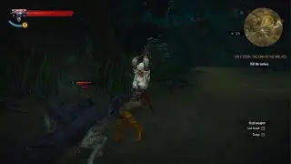Why witcher 4 Ciri should keep her Elder Blood Powers