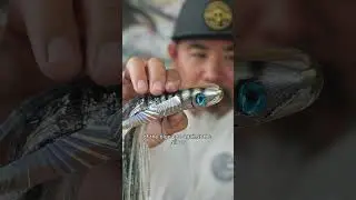 Серебряные слитки! 💥