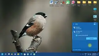 Windows 11 Network Setting