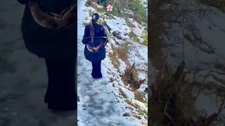 Frozen view Melted hearts🤍#trendingshorts #love #aestheic #lovemusic #song #shreyaghoshal #dhadak