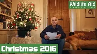 A Christmas poem from Simon Cowell