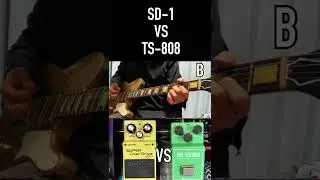 SD-1 VS TS-808 Guitar Riff #shorts