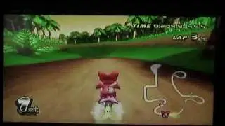 MKW FR 06-25-10 AFT 3 & 4 jungl luigi.AVI