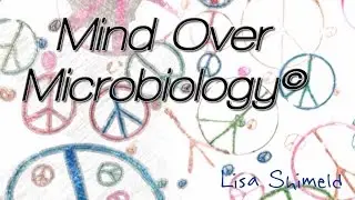 Lecture: Part 3 - Mycoses (Conditions/Diseases Caused By Fungi