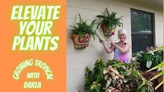 💯  Elevate Your Plants // Mexican Talavera Pottery // Growing Tropical 🌴
