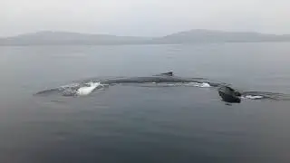 Lorino: Whales & Whalers. Living Heritage