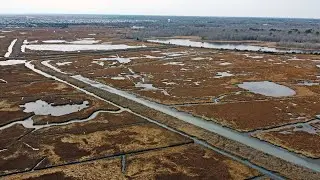 Manahawkin Wildlife Management Area
