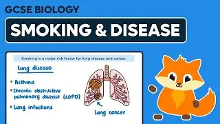 Effects of Smoking on Disease - GCSE Biology