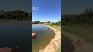 À VENDA❗️❗️❗️ Chácara linda no estilo resort, localizada na cidade mais turística do estado de Goiás