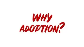 Why adoption?