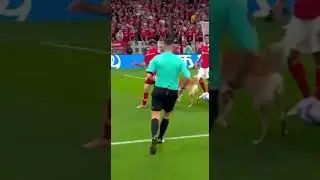 DOG SEES RED for Goal-Line Save! 🐶🟥⚽😱 #football  #soccer  #funnymoments