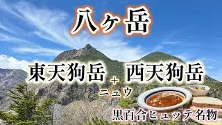 【八ヶ岳】東天狗 西天狗へ 黒百合ヒュッテのビーフシチューを求めて✦ ニュウにも寄り道。