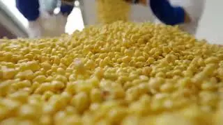 Air-Dried Fermented Soybeans of Mile
