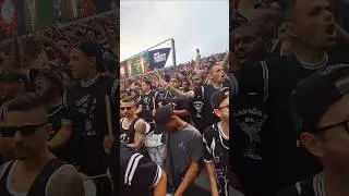 TODO PODEROSO TIM&Atilde;O! 🦅 #corinthians