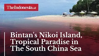 Bintan's Nikoi Island, Tropical Paradise in The South China Sea