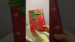 Cute Christmas macarons, with an ice pack inside the bag.