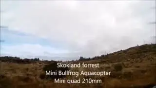 Skokland forrest