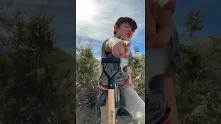 Kids gold prospecting in California #goldrush #goldmining #goldpanning #adventure