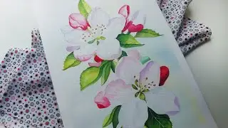 🌸Яблоневый цвет АКВАРЕЛЬЮ //Apple blossom WATERCOLOR 🌸