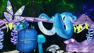 Wildlights at Dublin Zoo, 2025