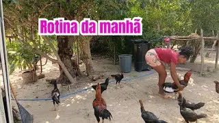 Rotina da manh&atilde; na casinha de taipa 