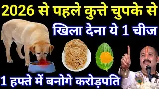 जनवरी 2026 नया साल आने से पहले कुत्ते को खिला देना 1 चीज बन जाओगे करोड़पति। #nayasaalupay #upay 
