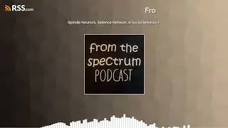Spindle Neurons, Salience Network, & Social Behaviors