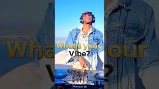 What's your Vibe? Latin | Progressive | Afro | Coracao | Titanium | Sauti