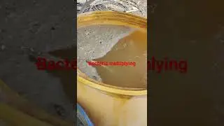 PSB PSB bacteria multiplying process by using ariation