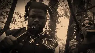 Bermuda Yae X Trez Paper - RockOut(Official Video)