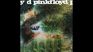Pink Floyd - Jugband blues (Percussions & vocals cover)